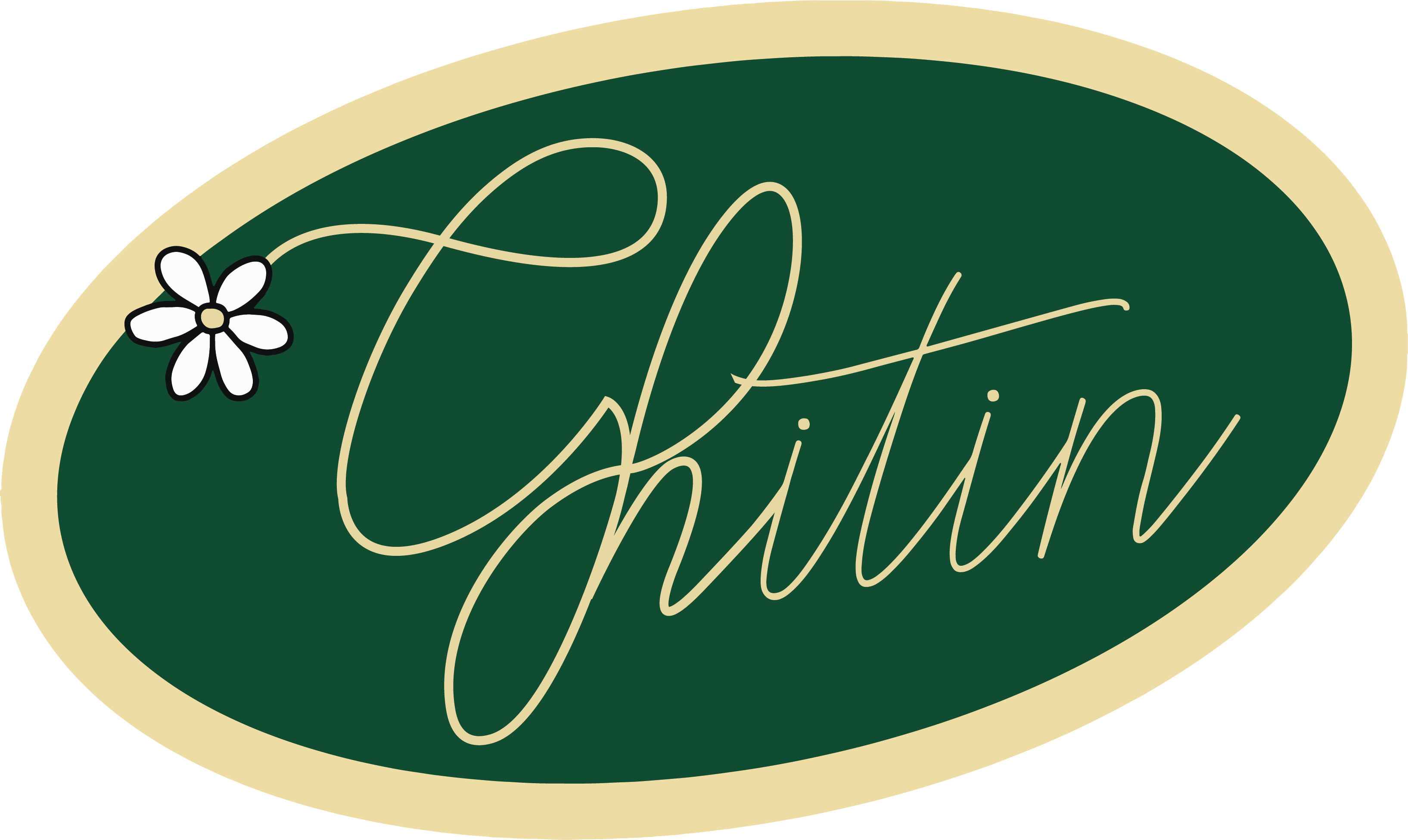 Ghitin